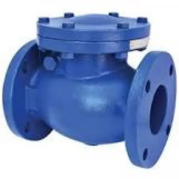 Swing Check Valve Supplier In Kanpur