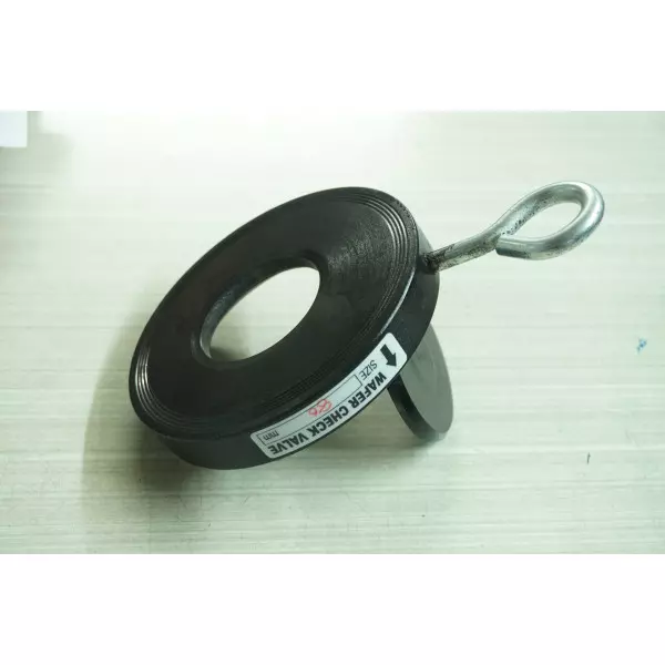 Wafer Check Valve Supplier In Lucknow