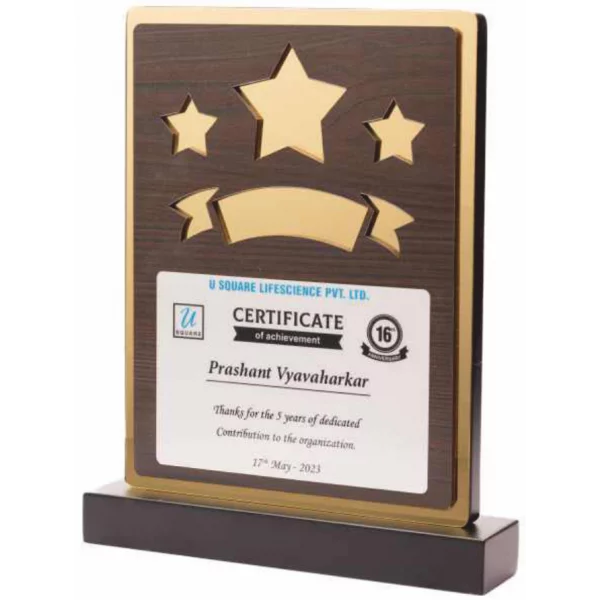 Giftcentre Award Trophy AMGC 95217