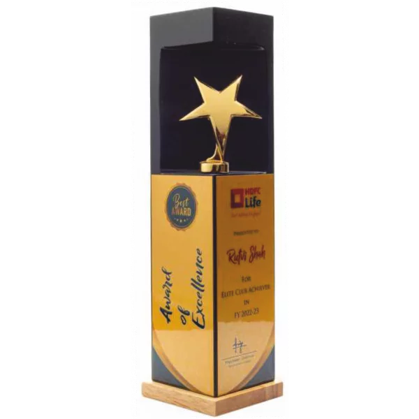 Giftcentre Award Trophy AMGC 95248