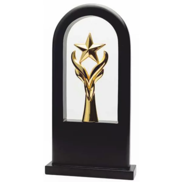 Giftcentre Award Trophy AMGC 95250 A