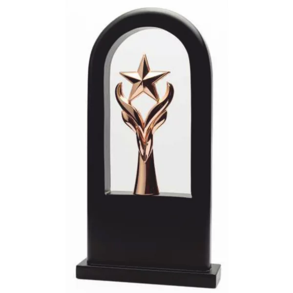 Giftcentre Award Trophy AMGC 95250 C