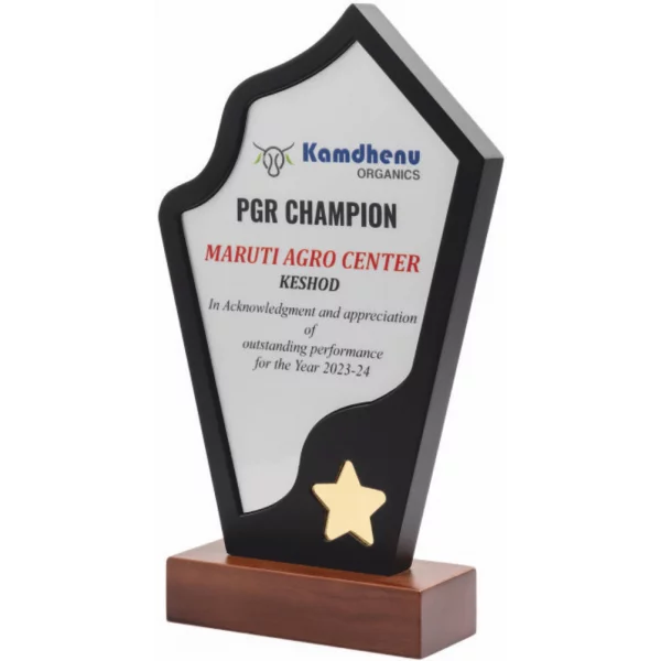 Giftcentre Award Trophy AMGC 95259 A