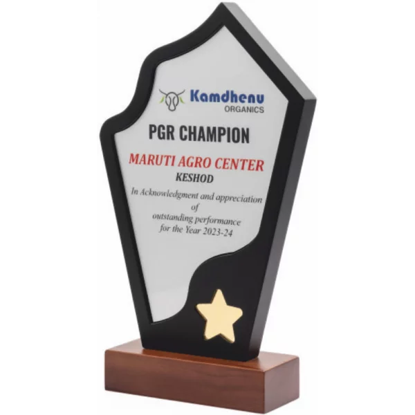 Giftcentre Award Trophy AMGC 95259 C