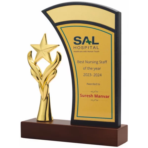 Giftcentre Award Trophy AMGC 95262 A