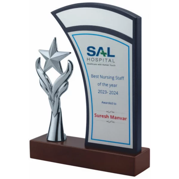 Giftcentre Award Trophy AMGC 95262 B