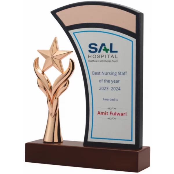 Giftcentre Award Trophy AMGC 95262 C