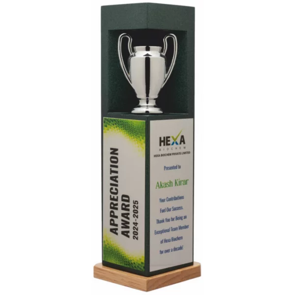 Giftcentre Award Trophy AMGC 95268 B