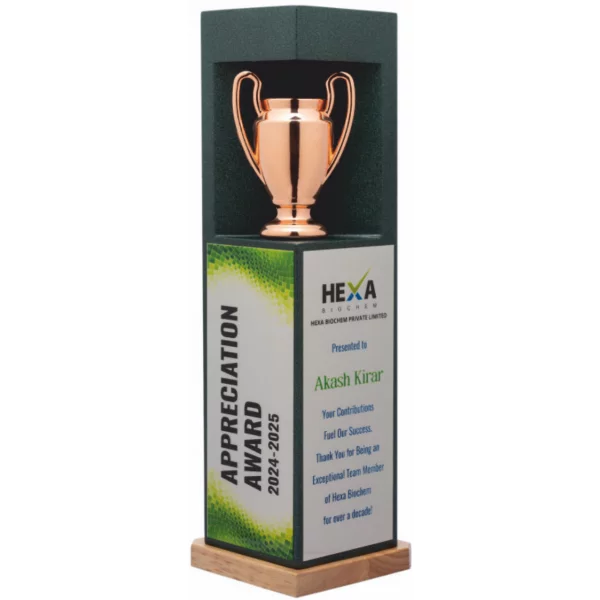 Giftcentre Award Trophy AMGC 95268 C