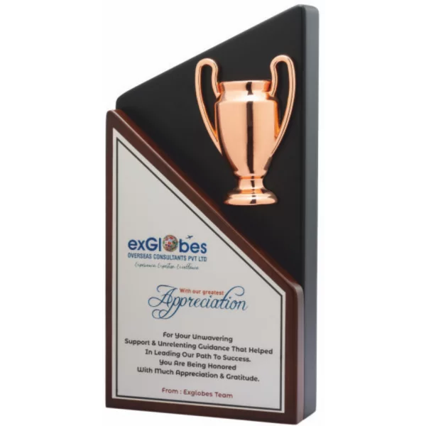 Giftcentre Award Trophy AMGC 95270 C