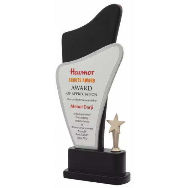 Giftcentre Award Trophy AMGC 95300 B