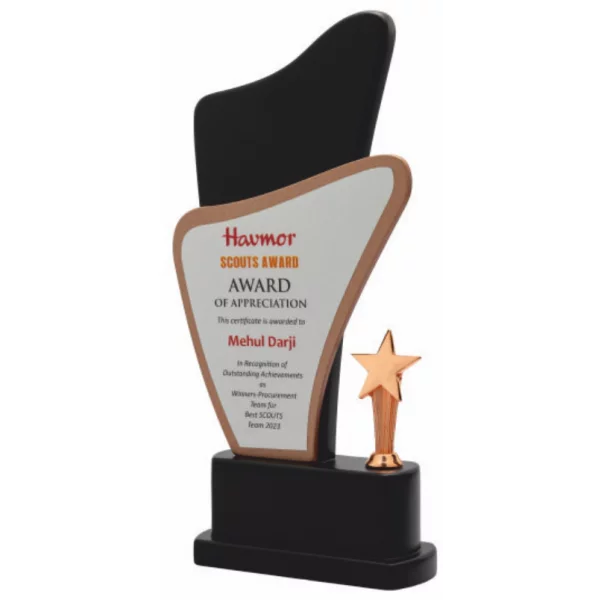 Giftcentre Award Trophy AMGC 95300 C