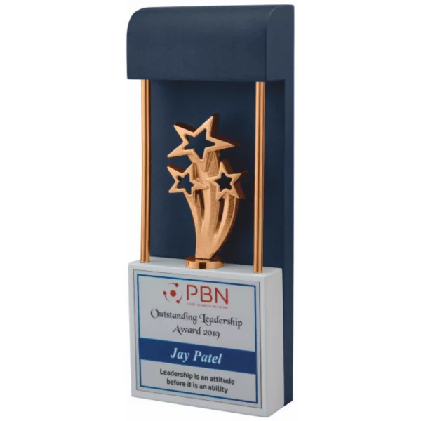 Giftcentre Award Trophy AMGC 95318 C