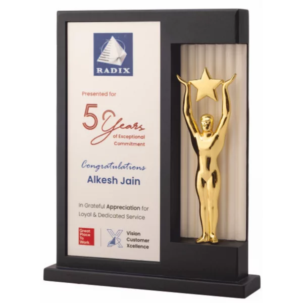 Giftcentre Award Trophy AMGC 95350 In Sanand Gujarat India - Long Service Awards