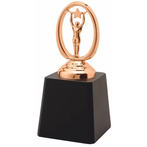 Giftcentre Award Trophy AMGC 95375 C In Gandhinagar Gujarat