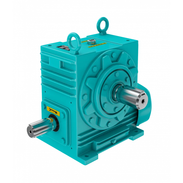 Worm Gearbox Showing Detailed View Of Housing And Gear Teeth