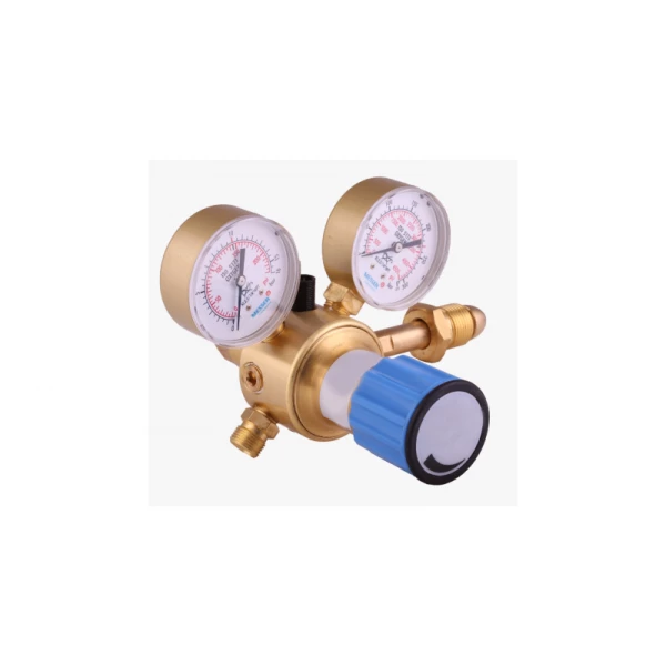 Gas Regulator