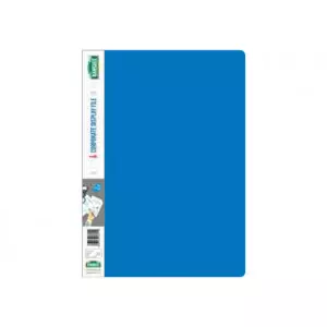 Corporate Spring File