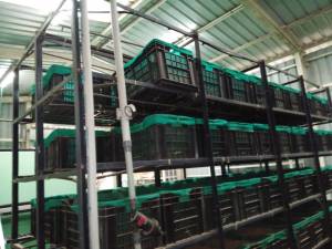 ORGANIC WASTE CONVERTER