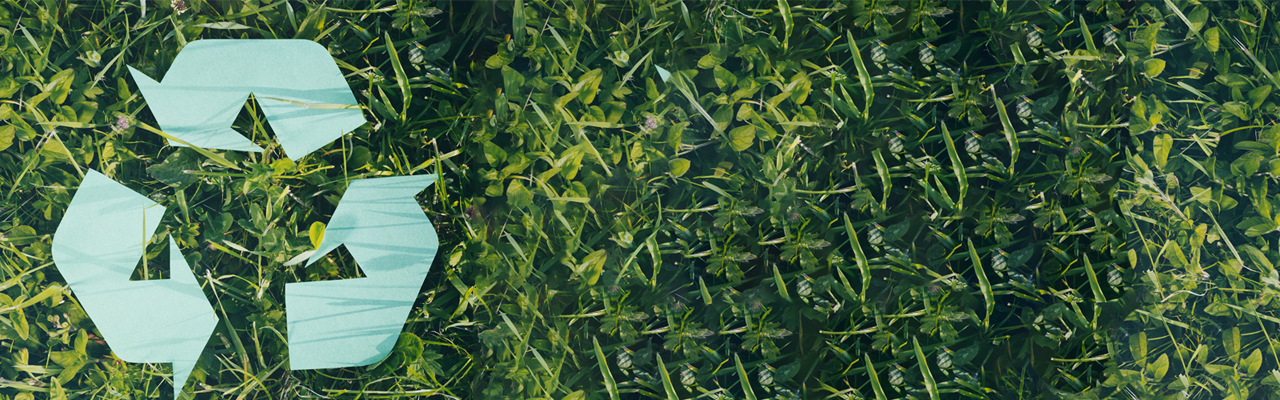 Envicare Solutions Pvt. Ltd.