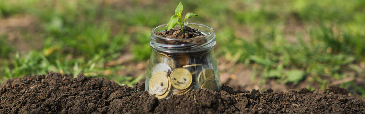 Envicare Solutions Pvt. Ltd.