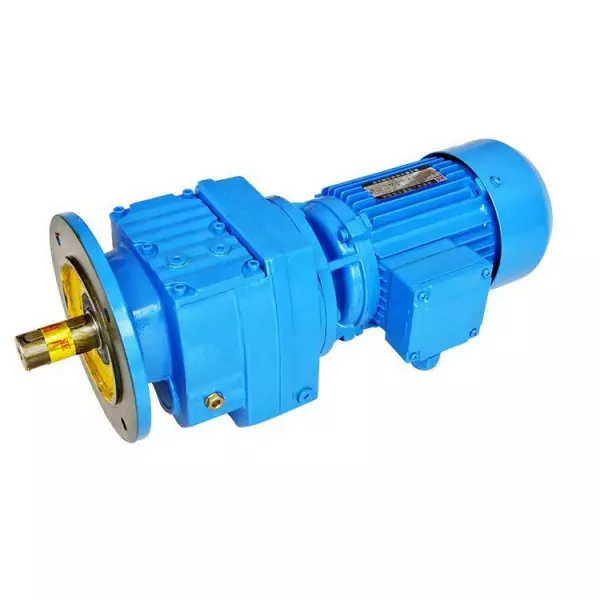 Agitator Motor