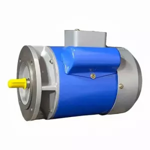 Single Phase AC Induction Motor
