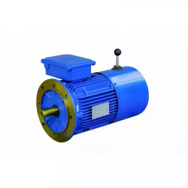 Squirrel Cage Motor Used In Industrial Applications