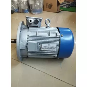 Three Phase Induction Motor Used In Industrial Machinery